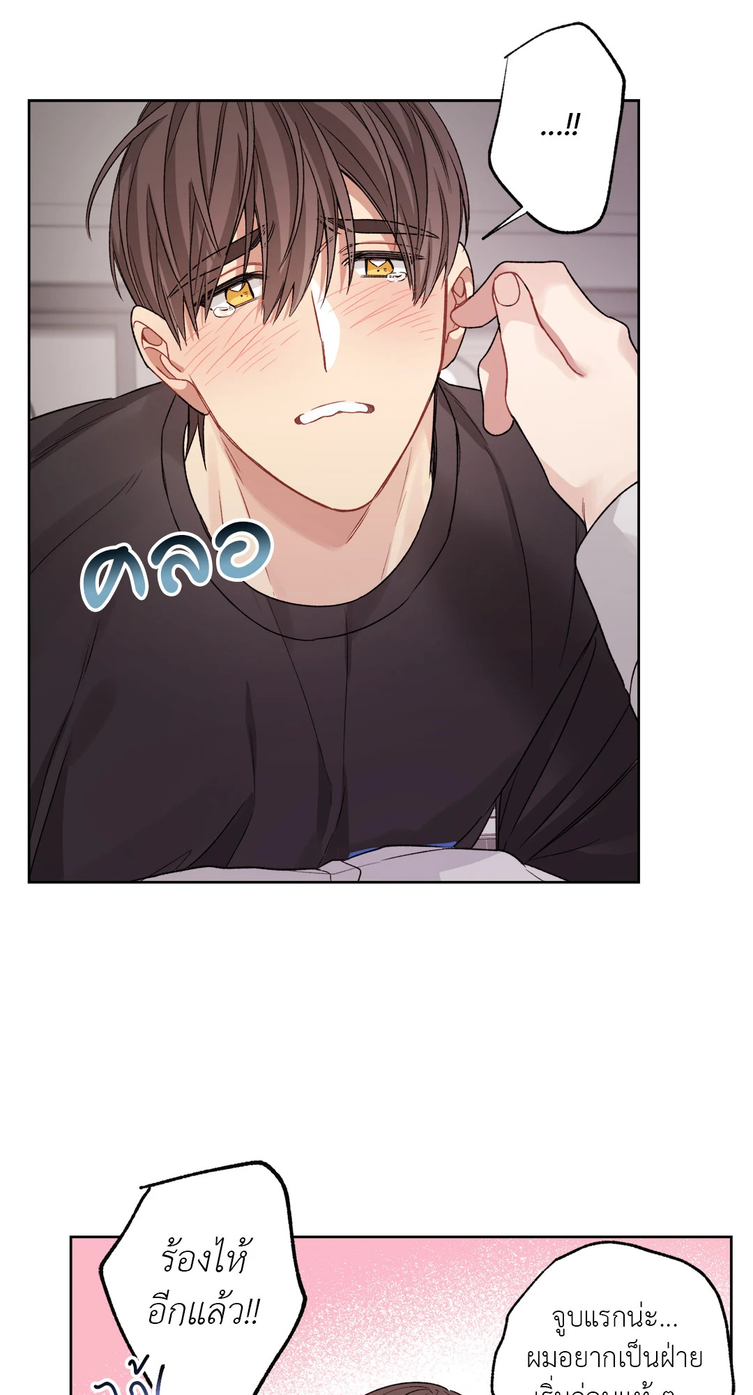 หน้า 41
