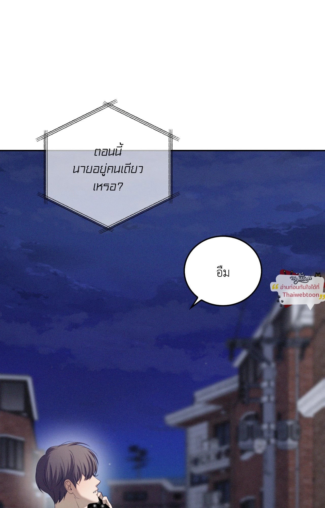 หน้า 100
