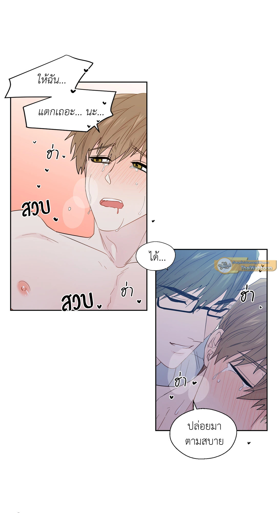 หน้า 43