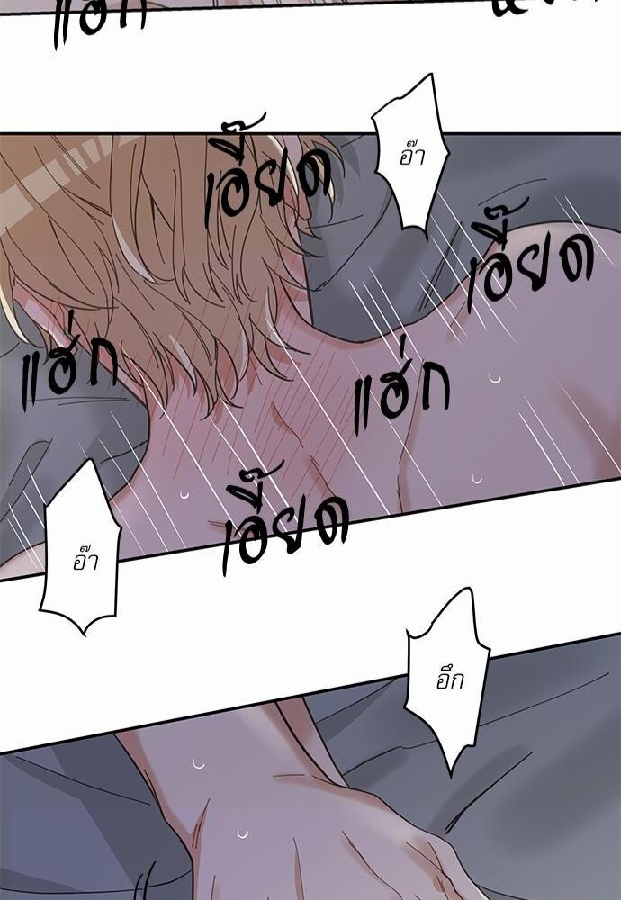 หน้า 44