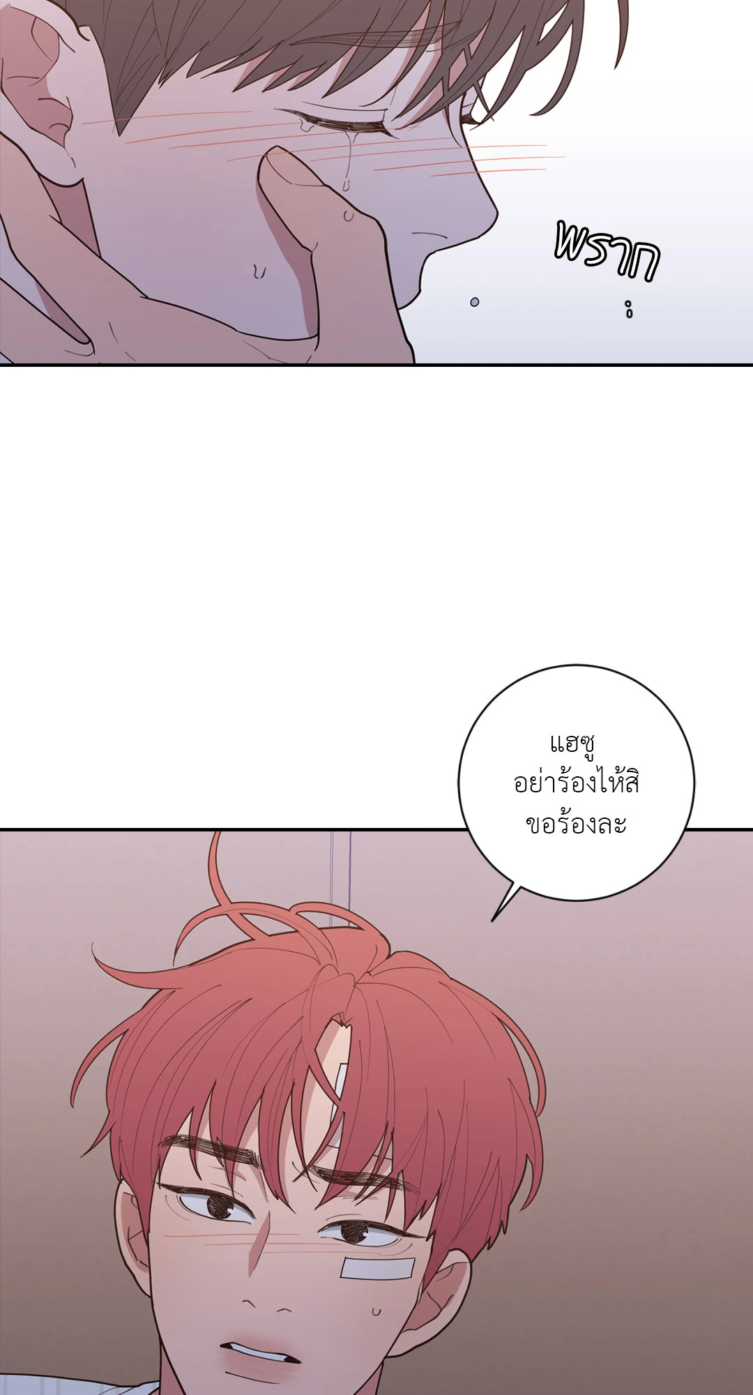 หน้า 102