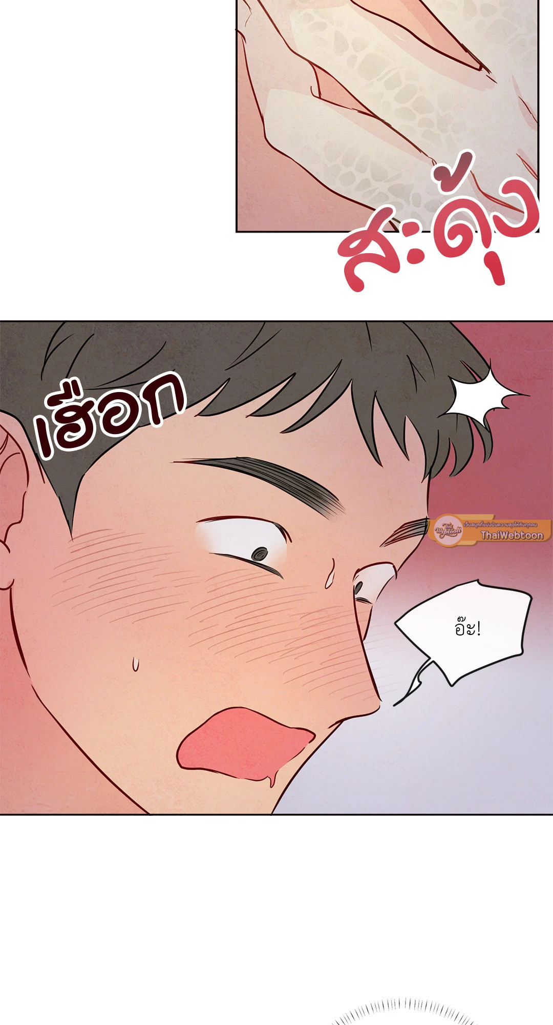 หน้า 51