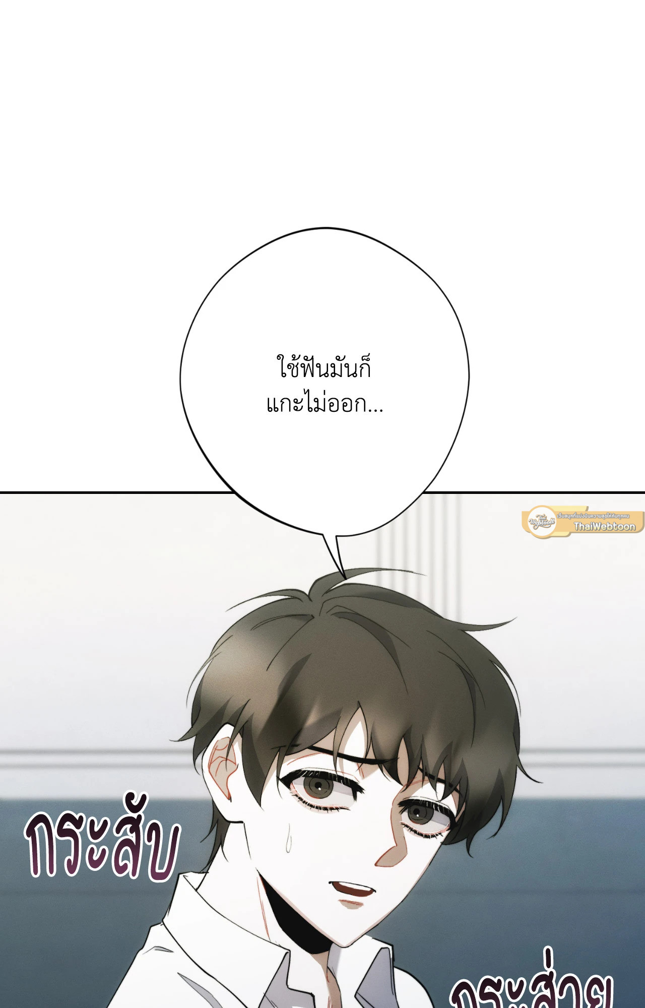 หน้า 117