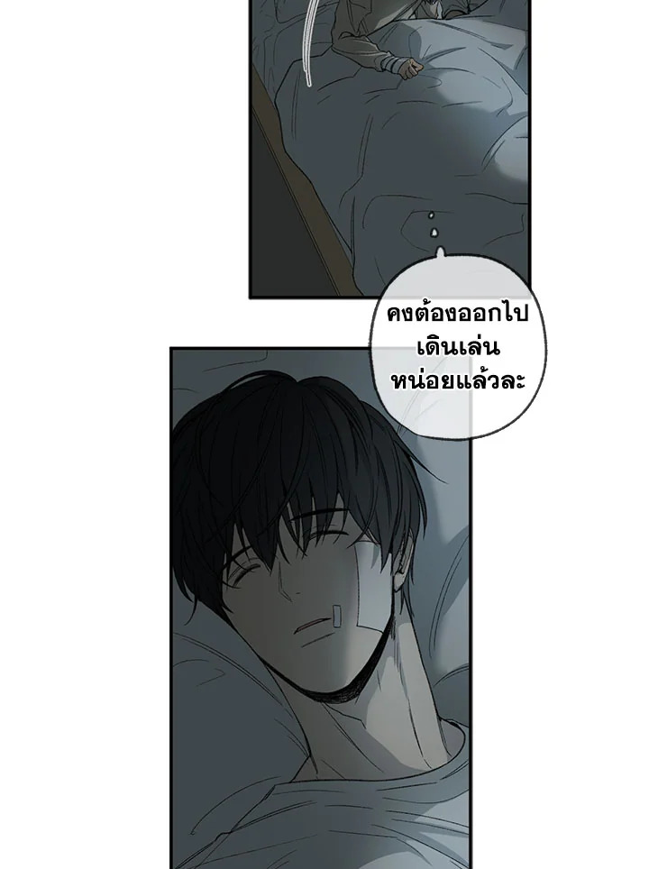 หน้า 51