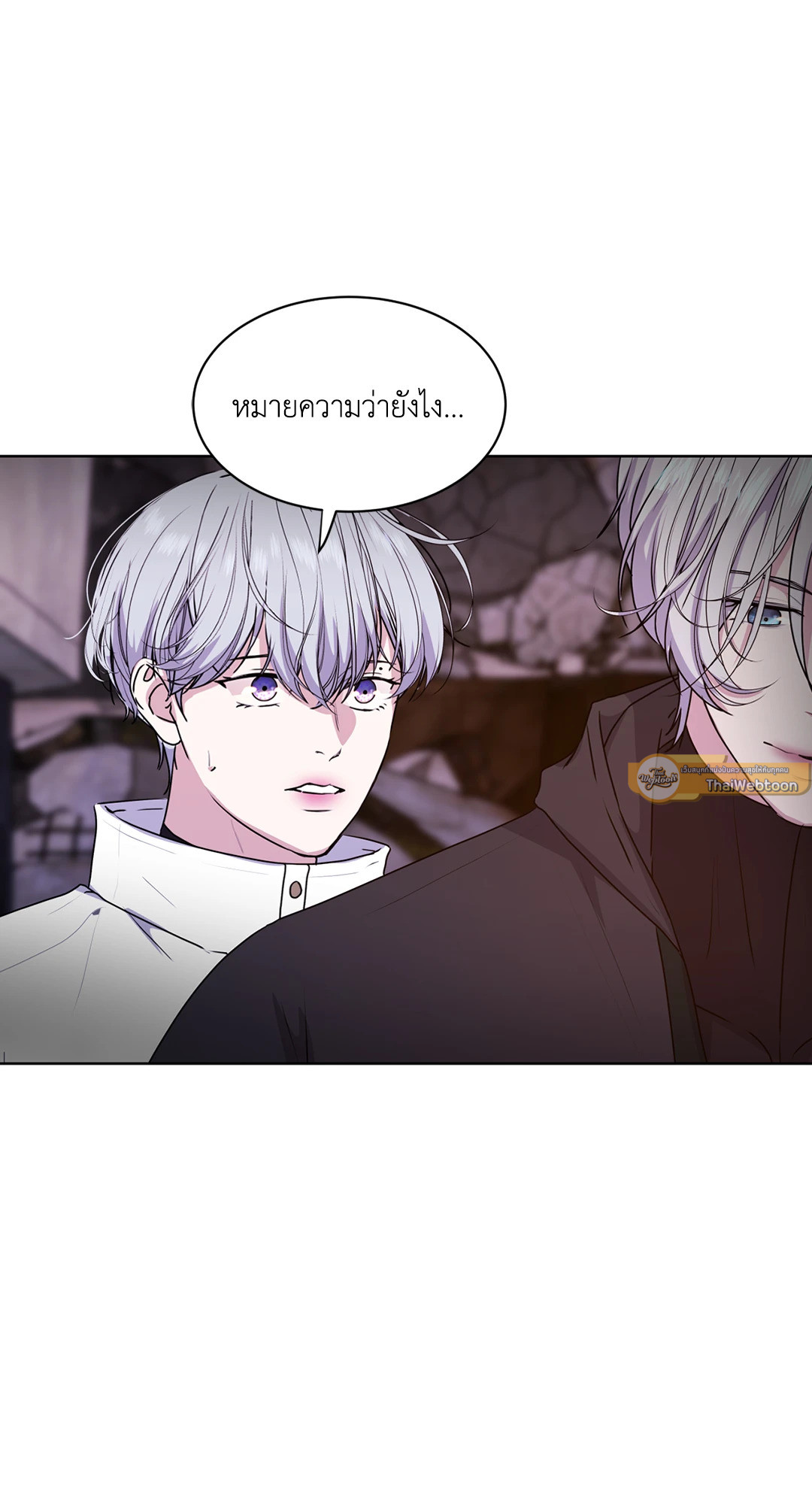 หน้า 100