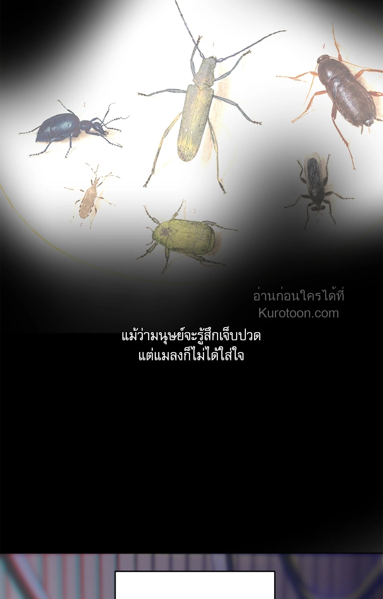 หน้า 73