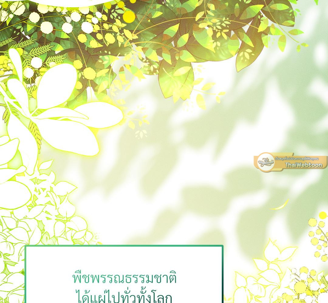 หน้า 117