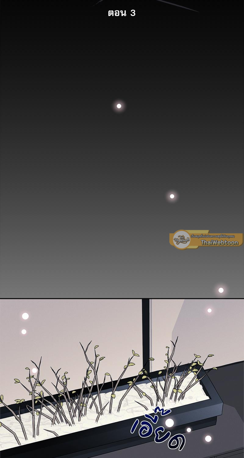 รักวุ่น ๆ ของสามเรา | bird caught in spider web (R+) ตอนที่ 3 - รูปที่ 2