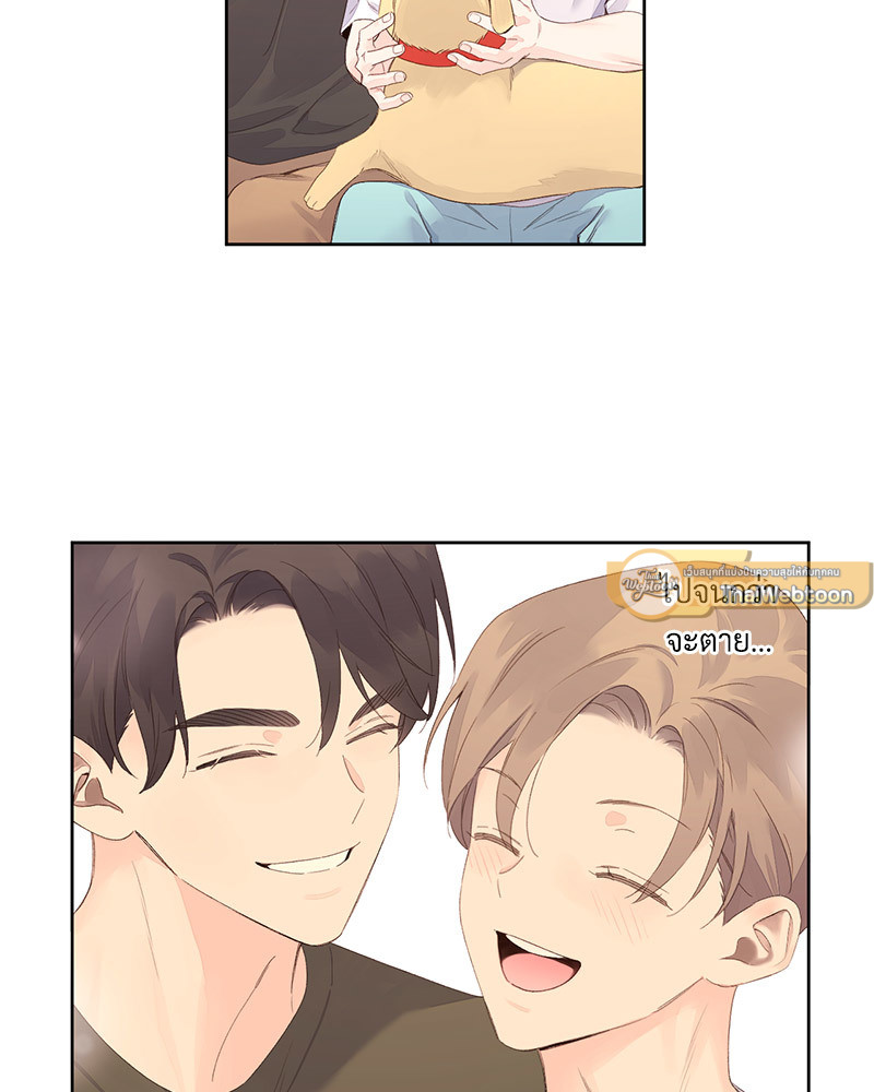 หน้า 41