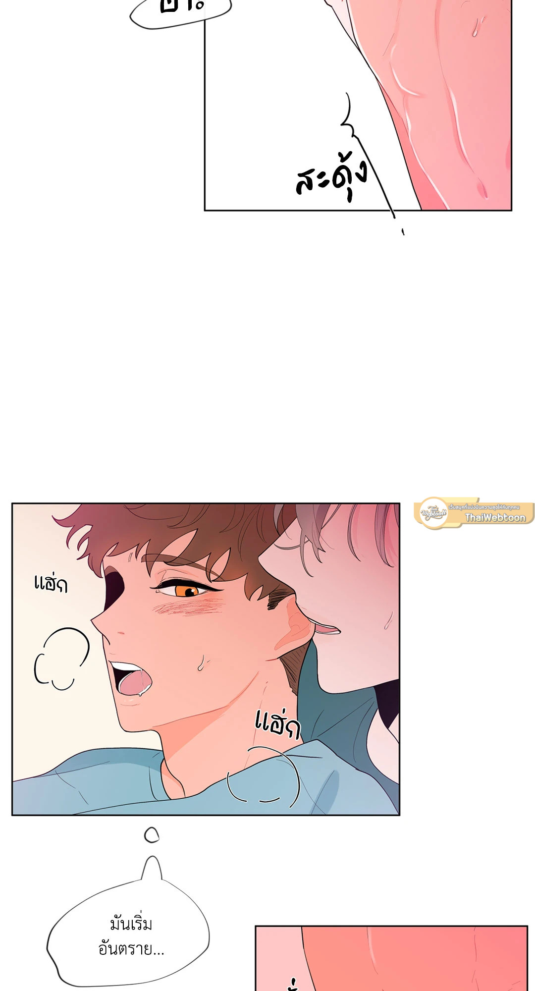 หน้า 51