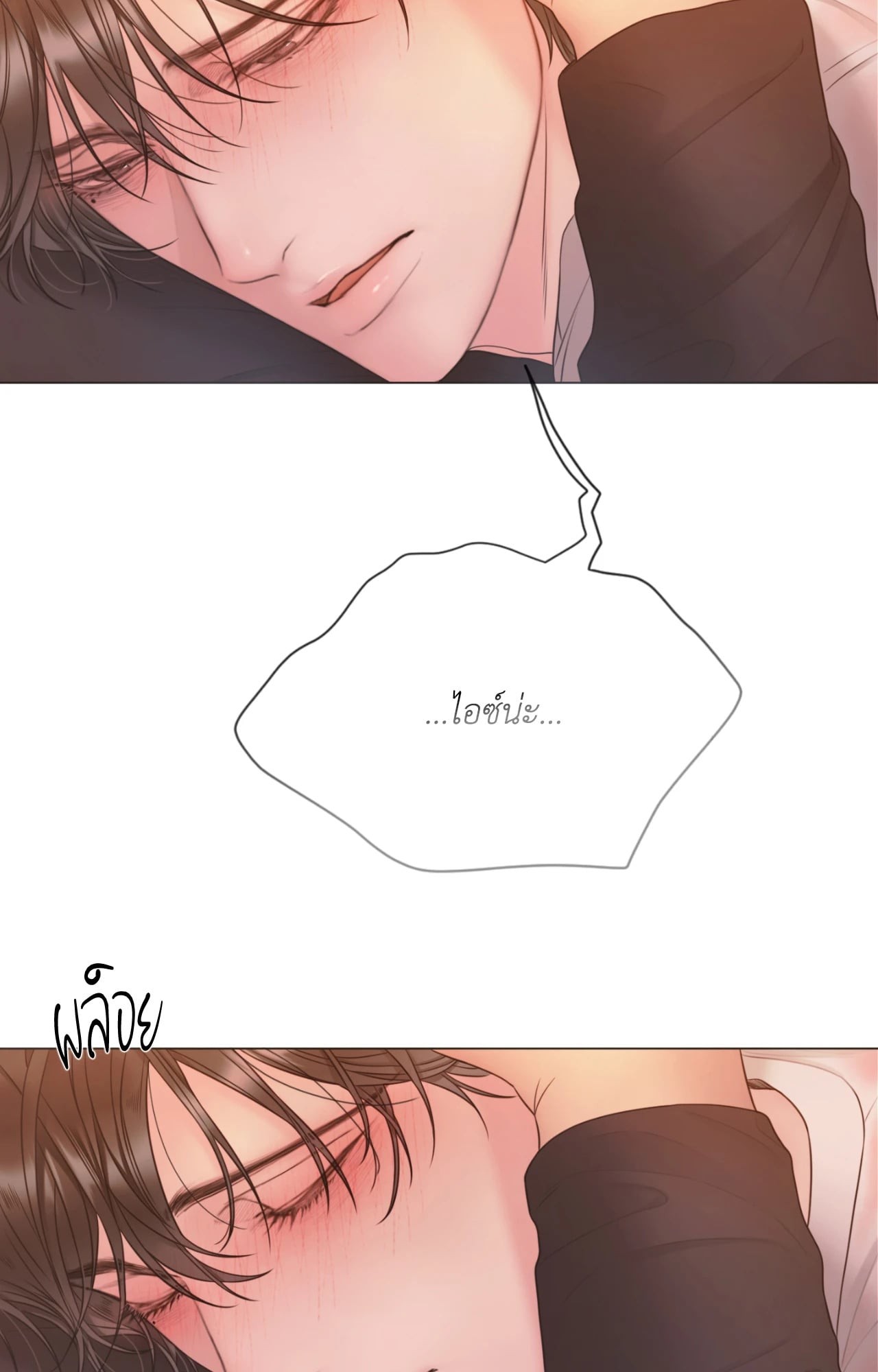 หน้า 102