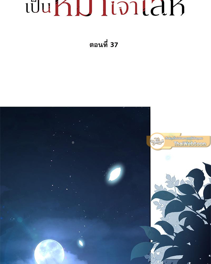 อัลฟ่าของผมเป็นหมาเจ้าเล่ห์ | NEVER TAMED ตอนที่ 37 - รูปที่ 2