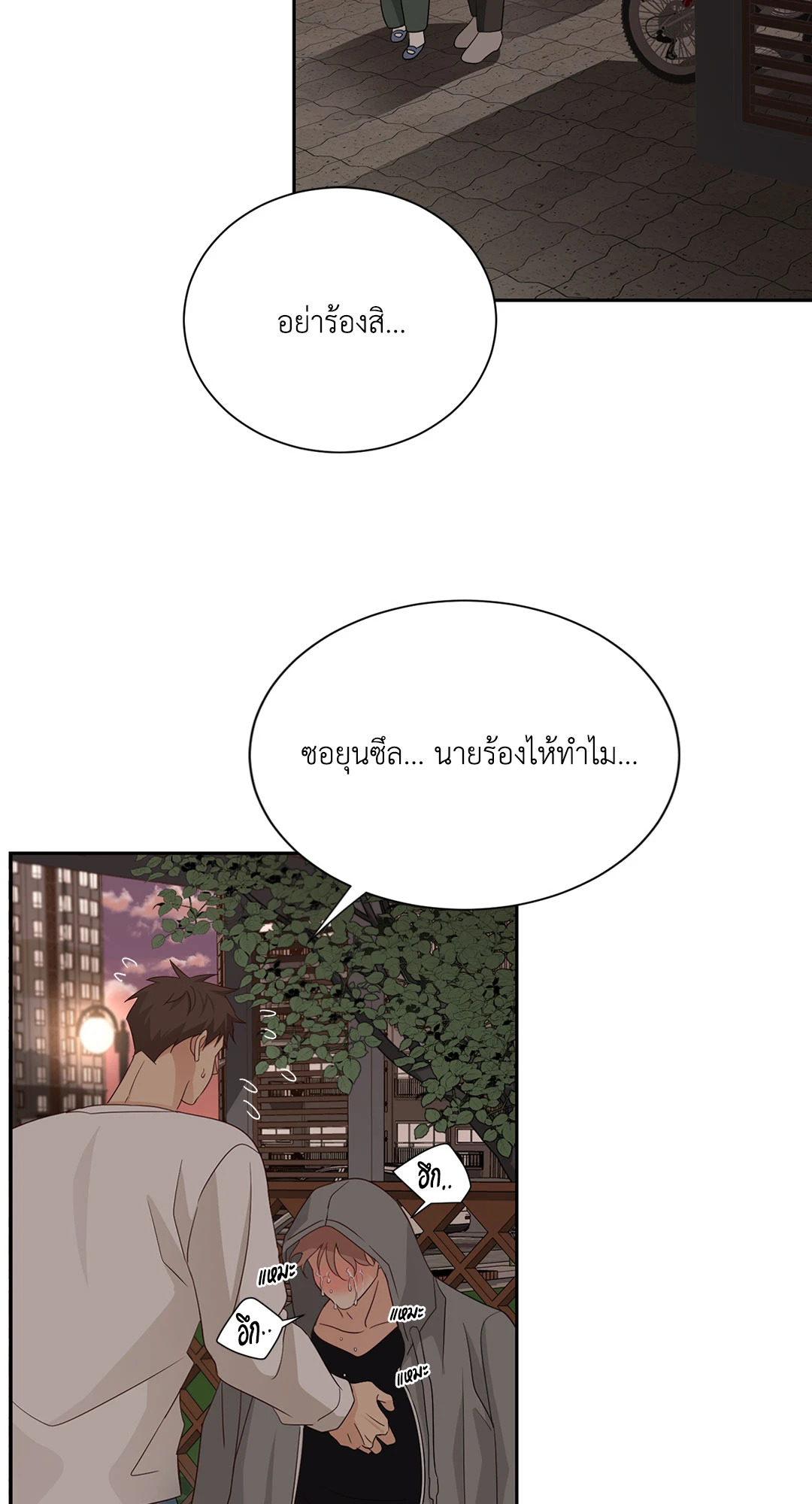 หน้า 43