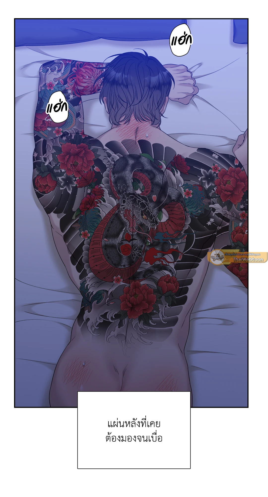 หน้า 55