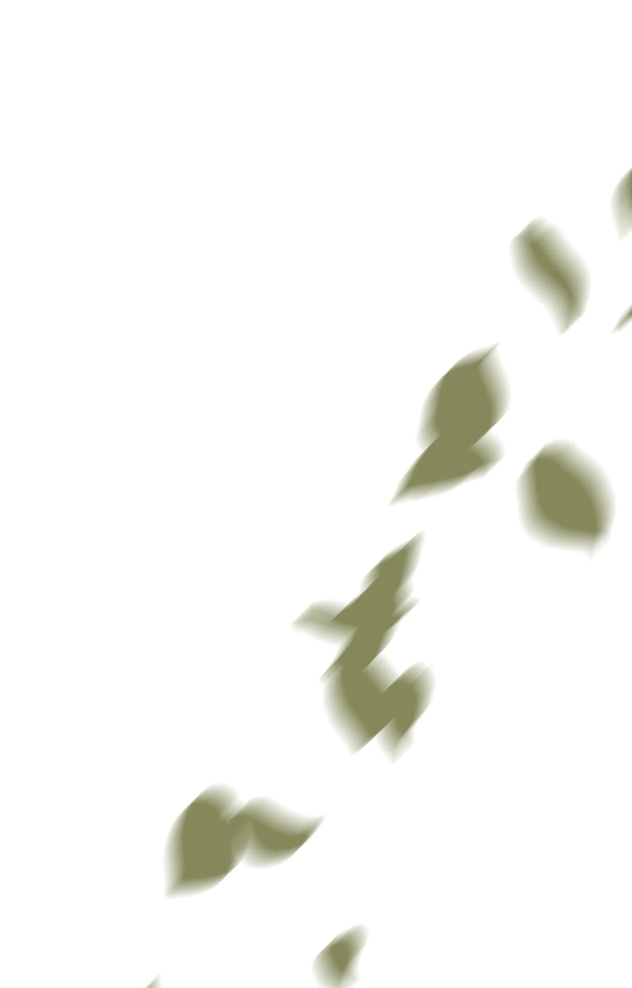 แรงรักแรงสิเน่หา | The Heart of the Lotus (+R) ตอนที่ 34 - รูปที่ 2