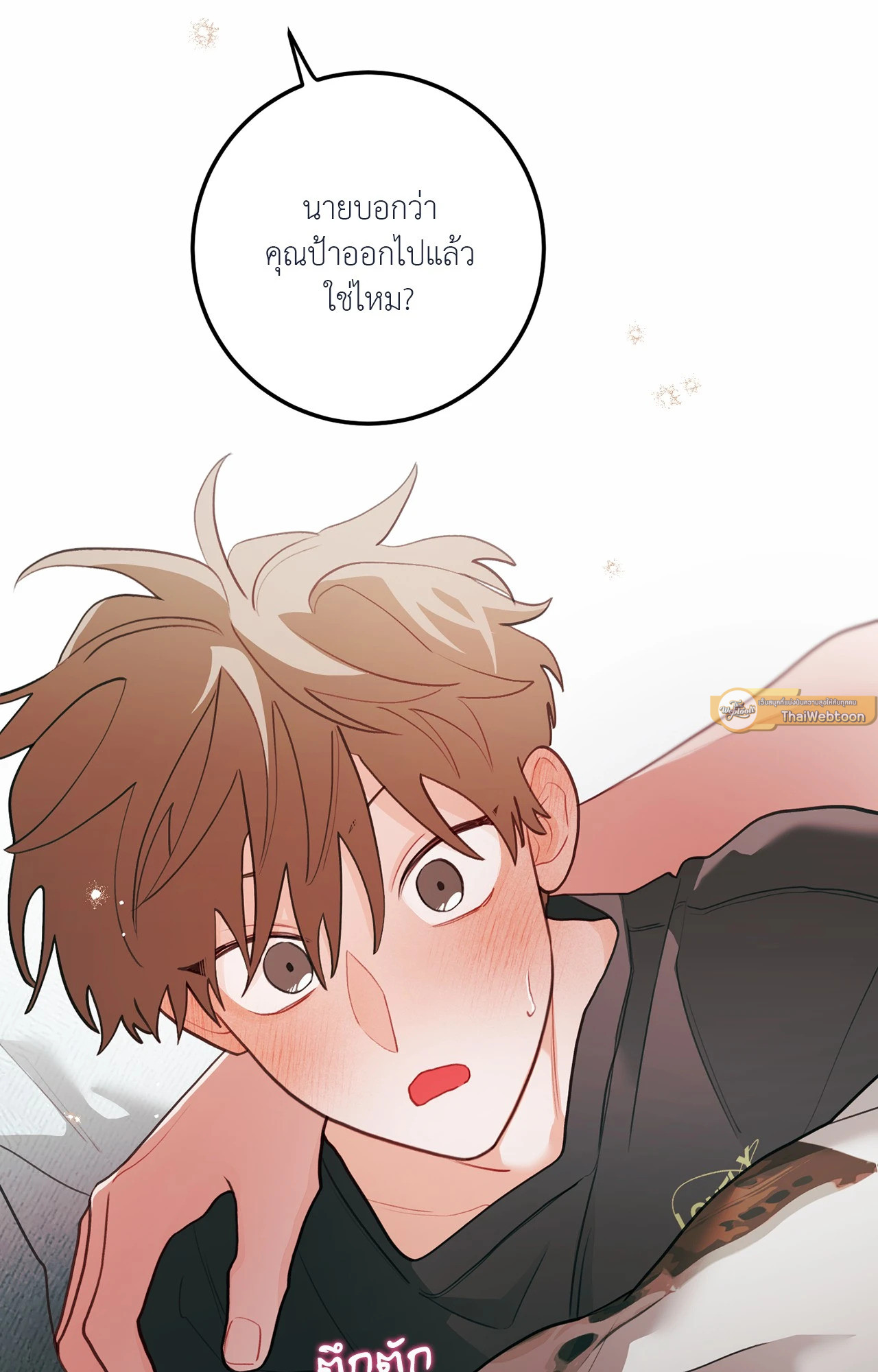 หน้า 30