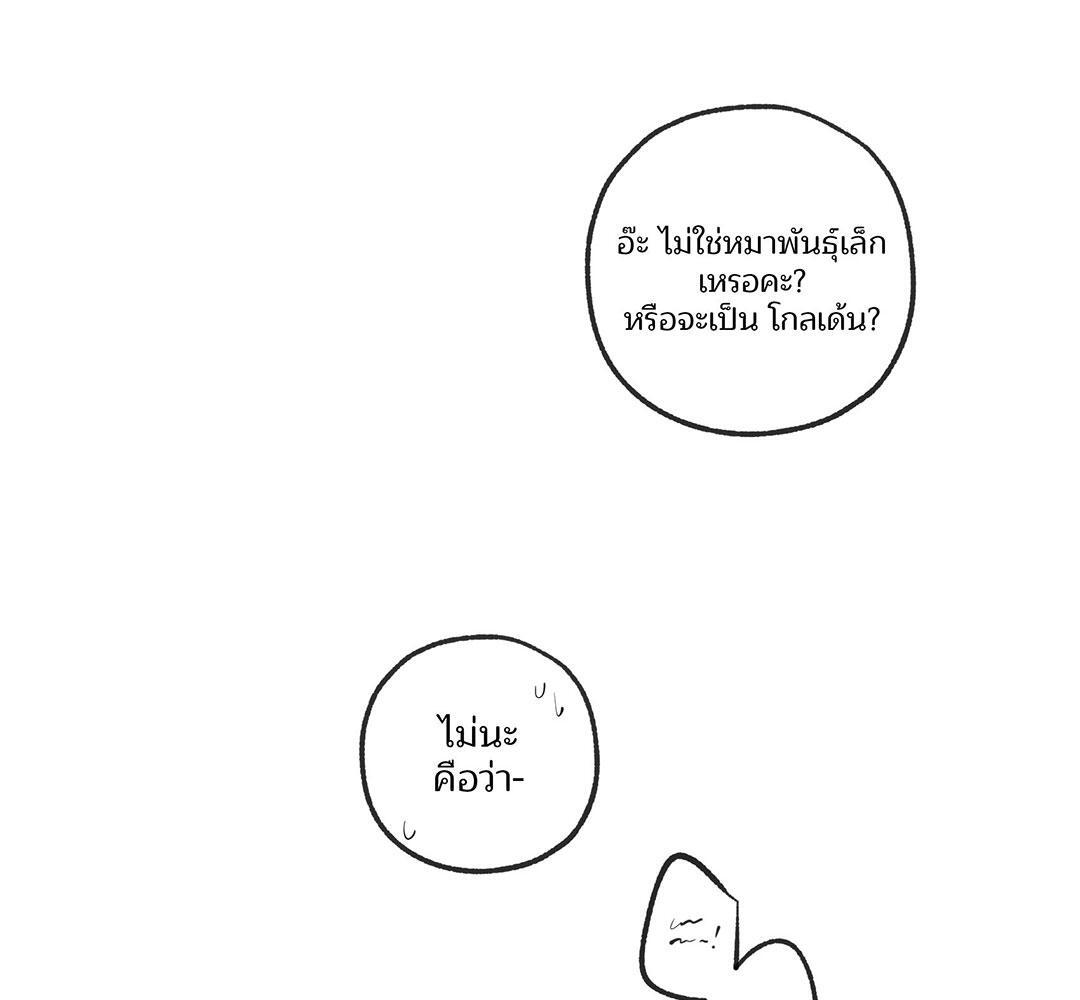 หน้า 97