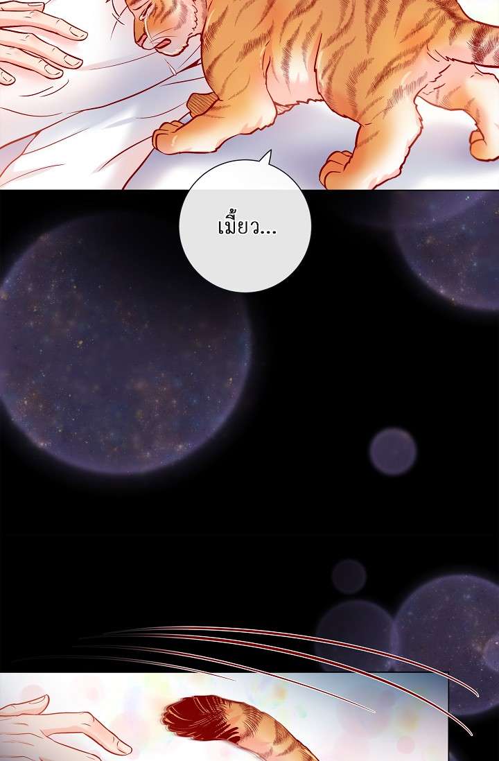 หน้า 44