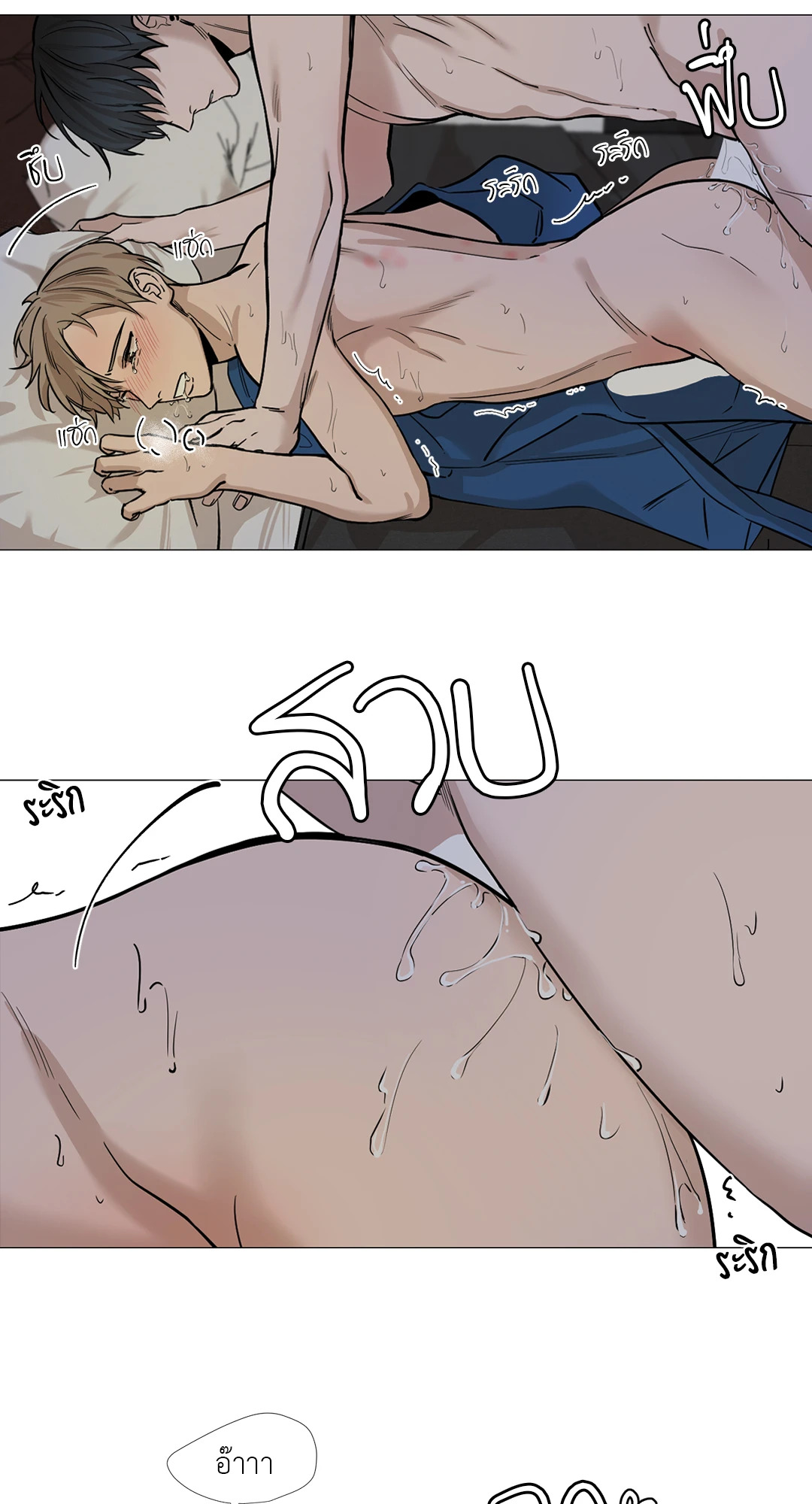 หน้า 29