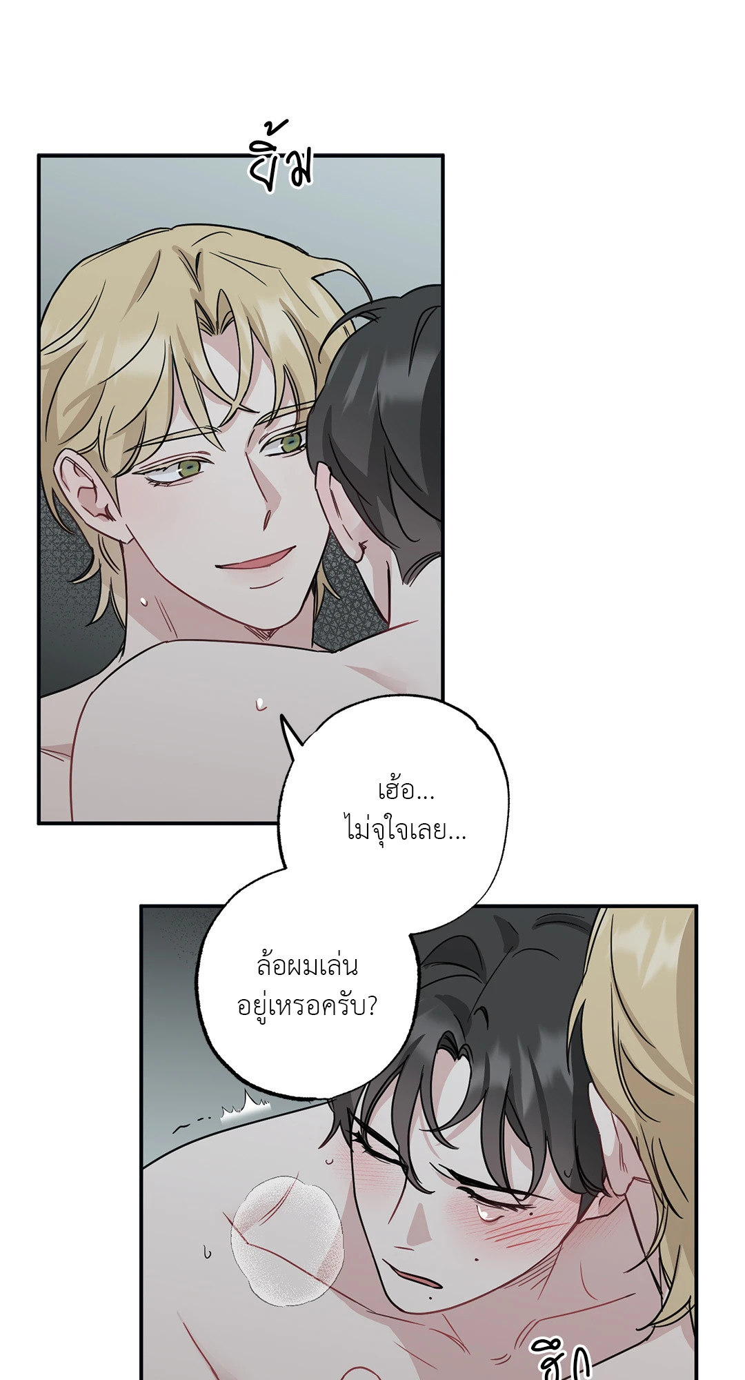 หน้า 43
