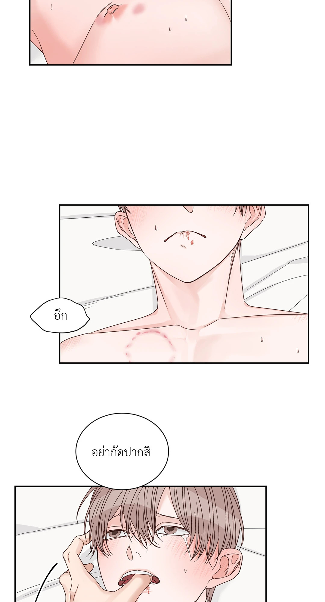หน้า 43