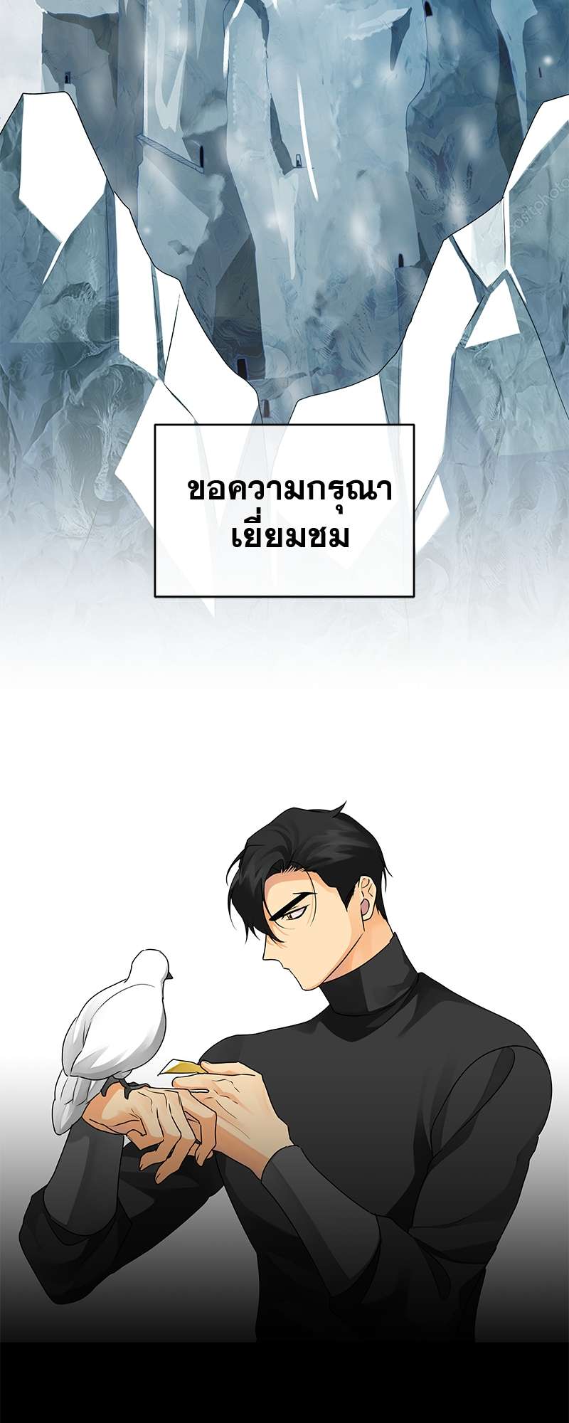 หน้า 43