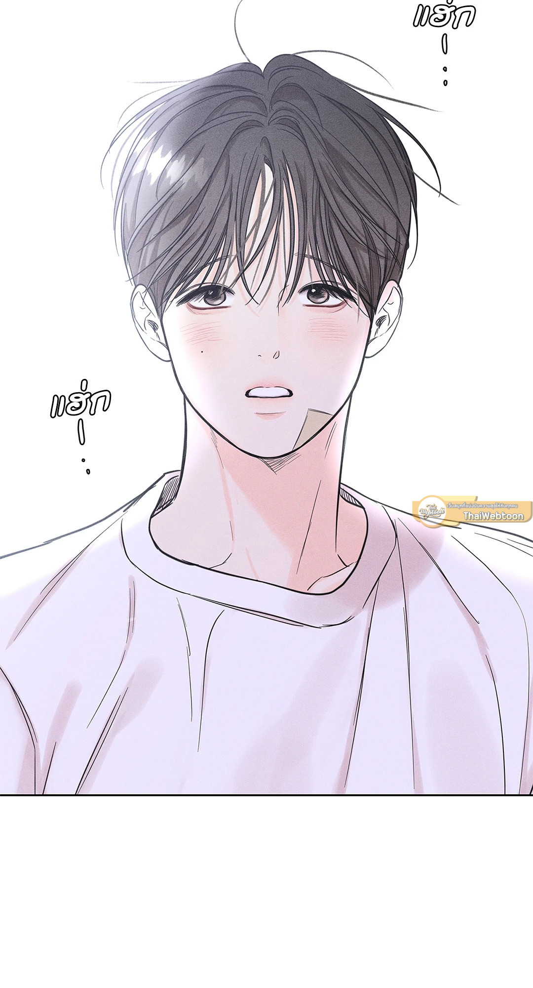 หน้า 43