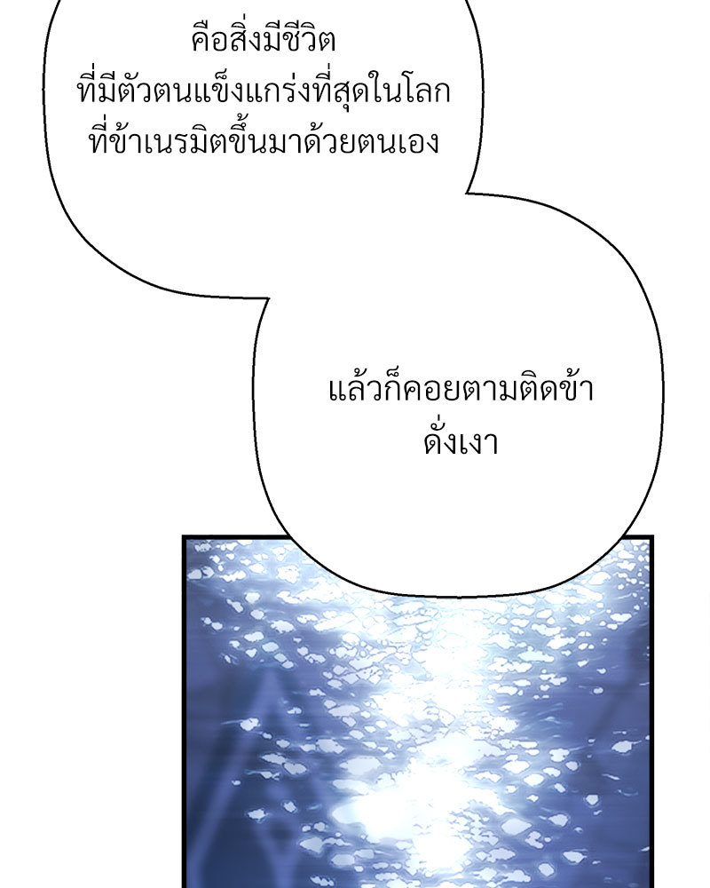หน้า 246