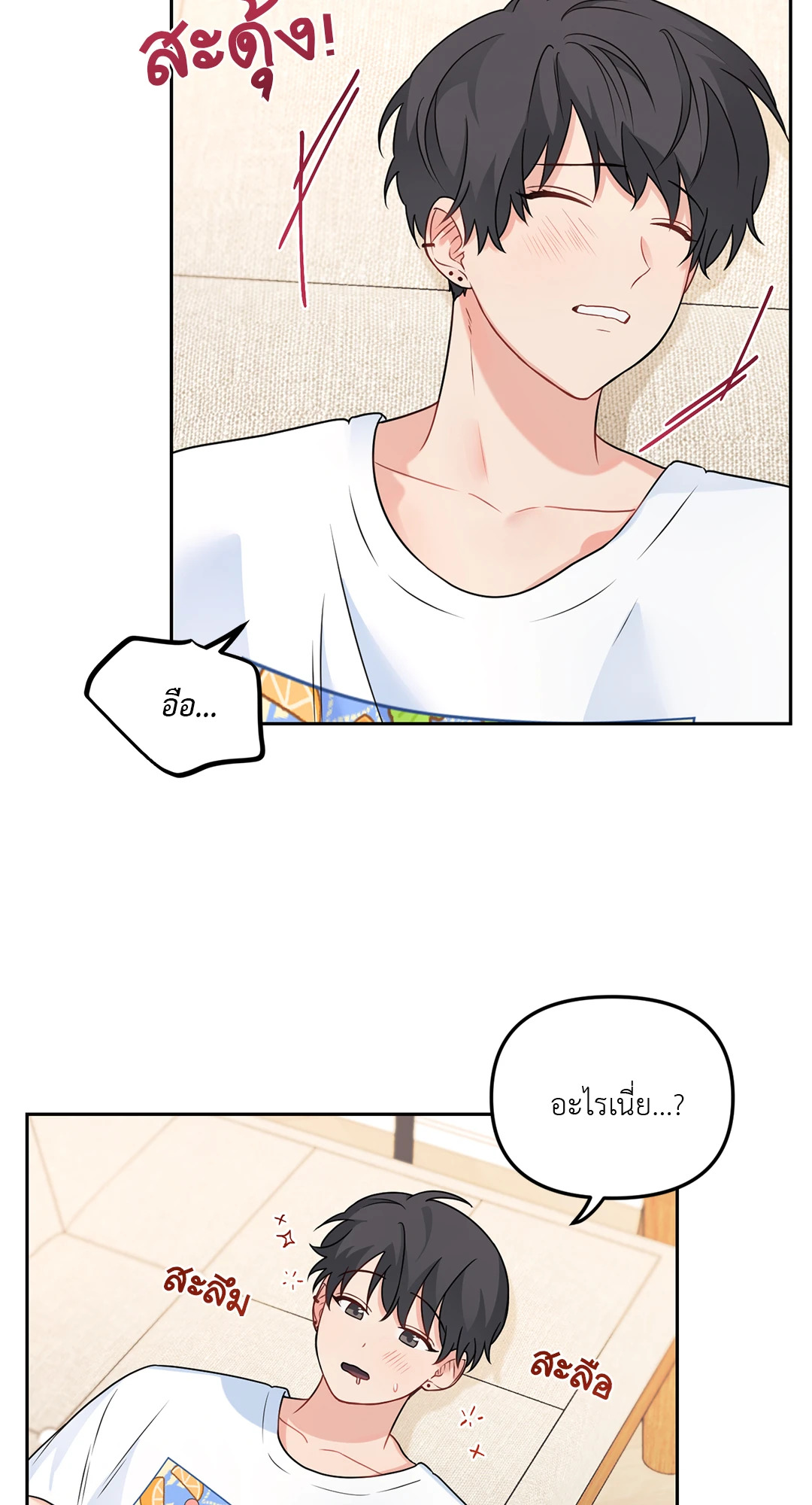 หน้า 43