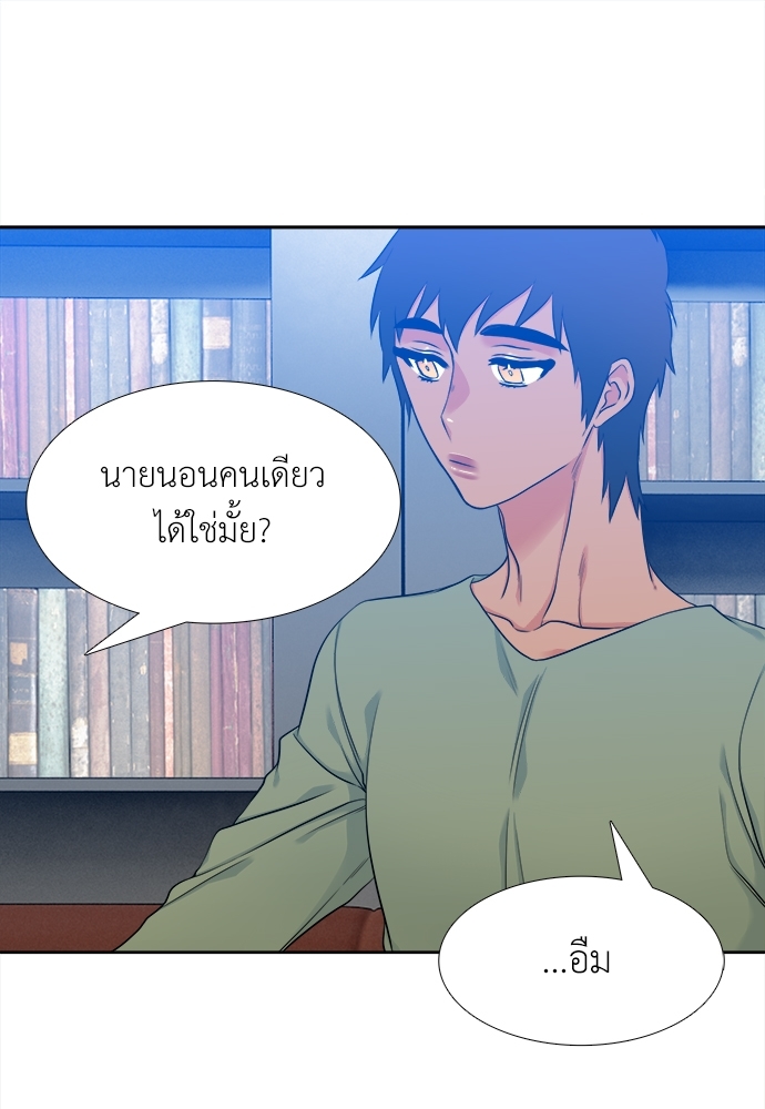 หน้า 41