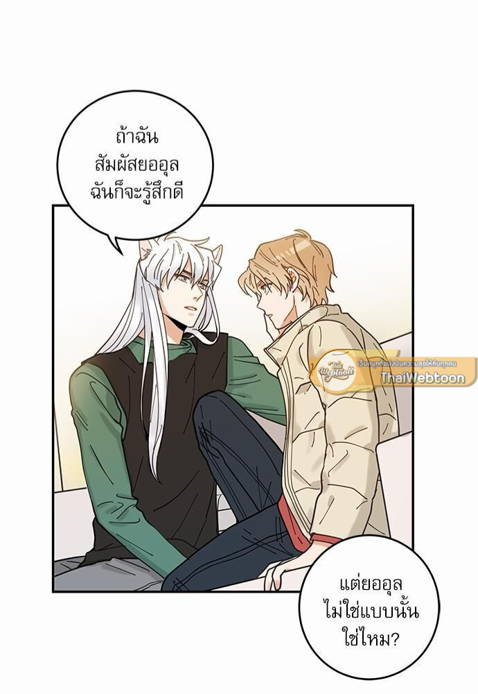 หน้า 43