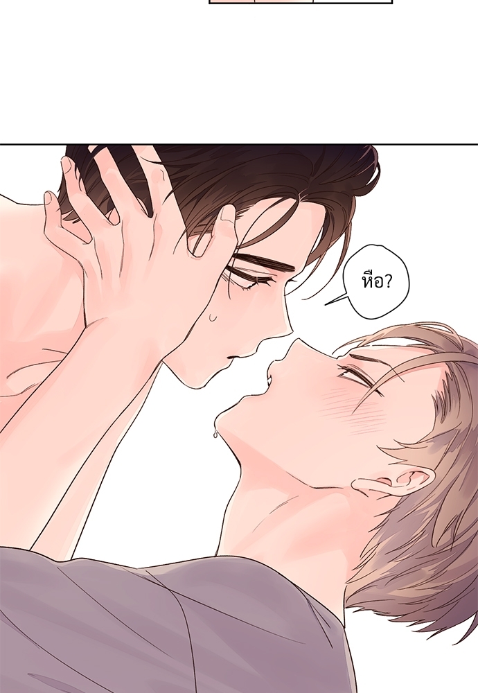 หน้า 42