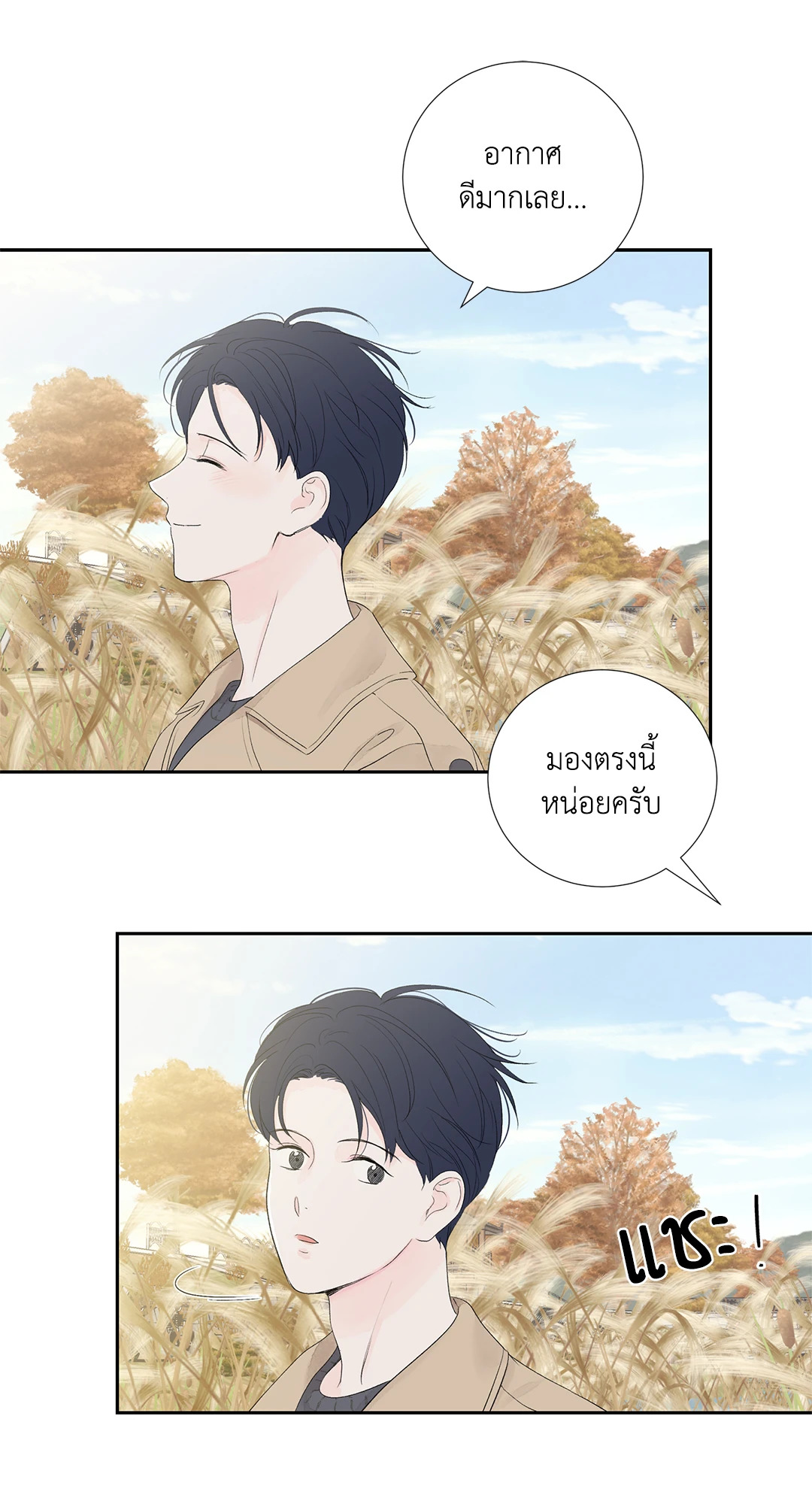 หน้า 46