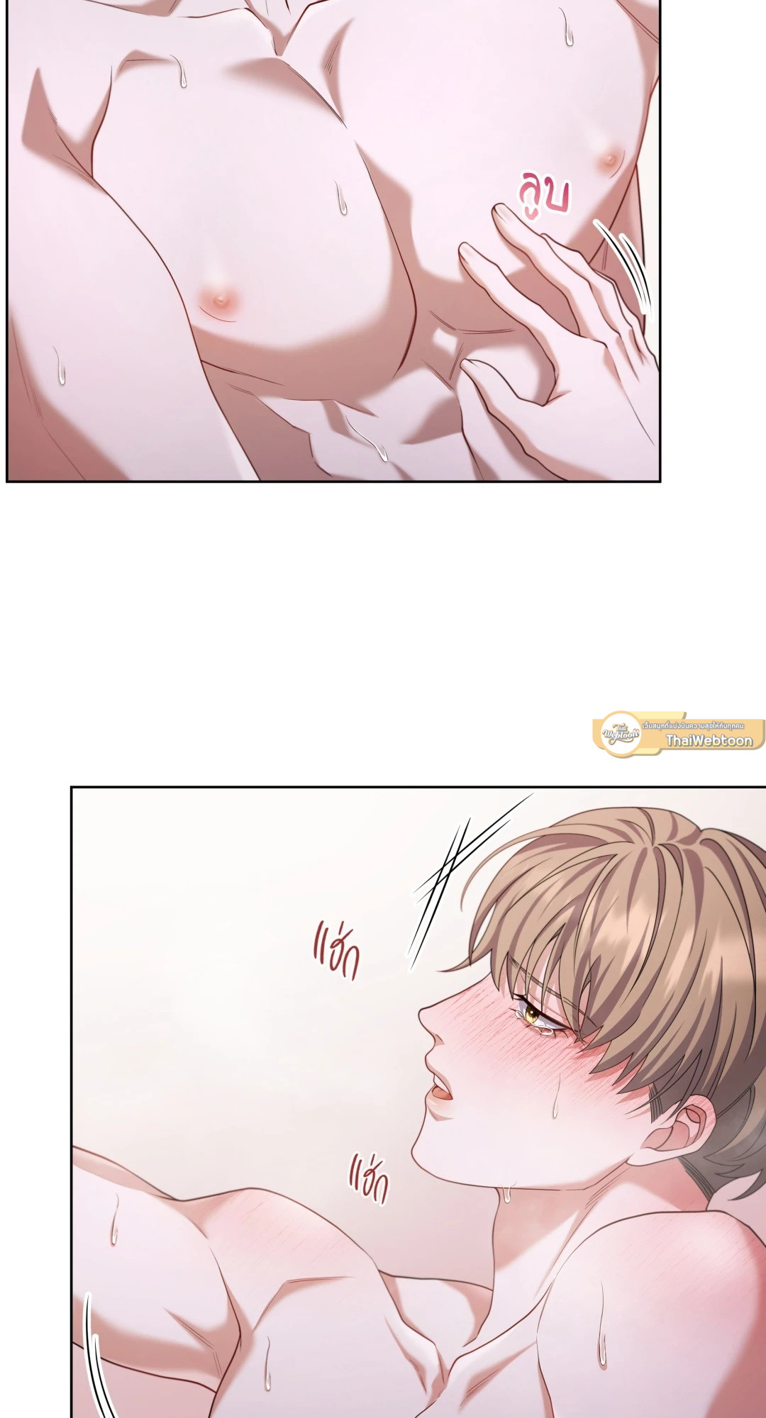 หน้า 44