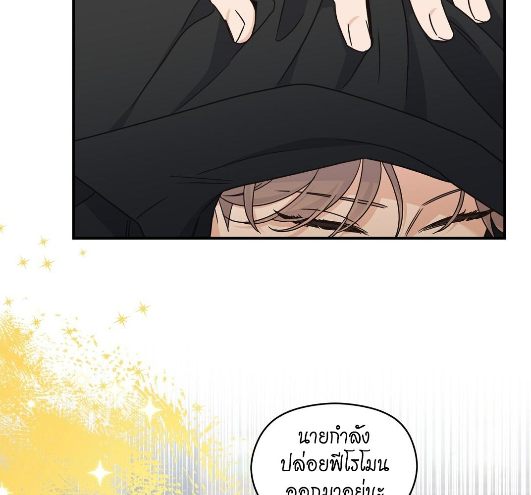 หน้า 117