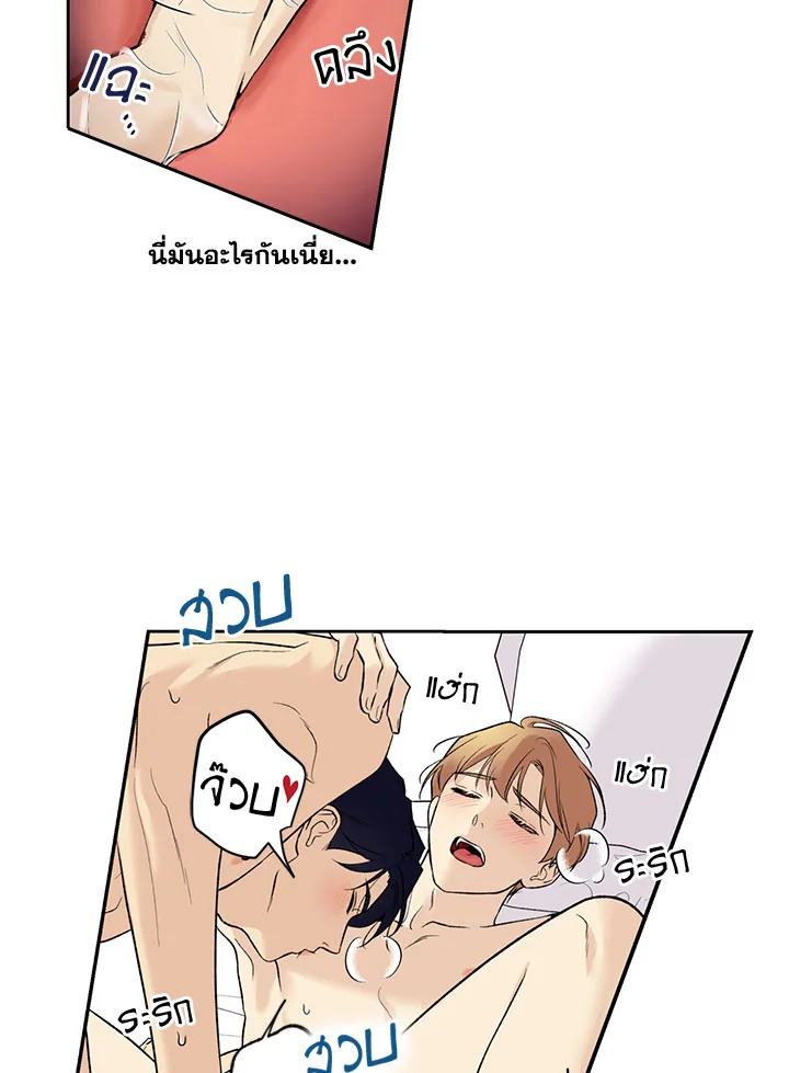 หน้า 41