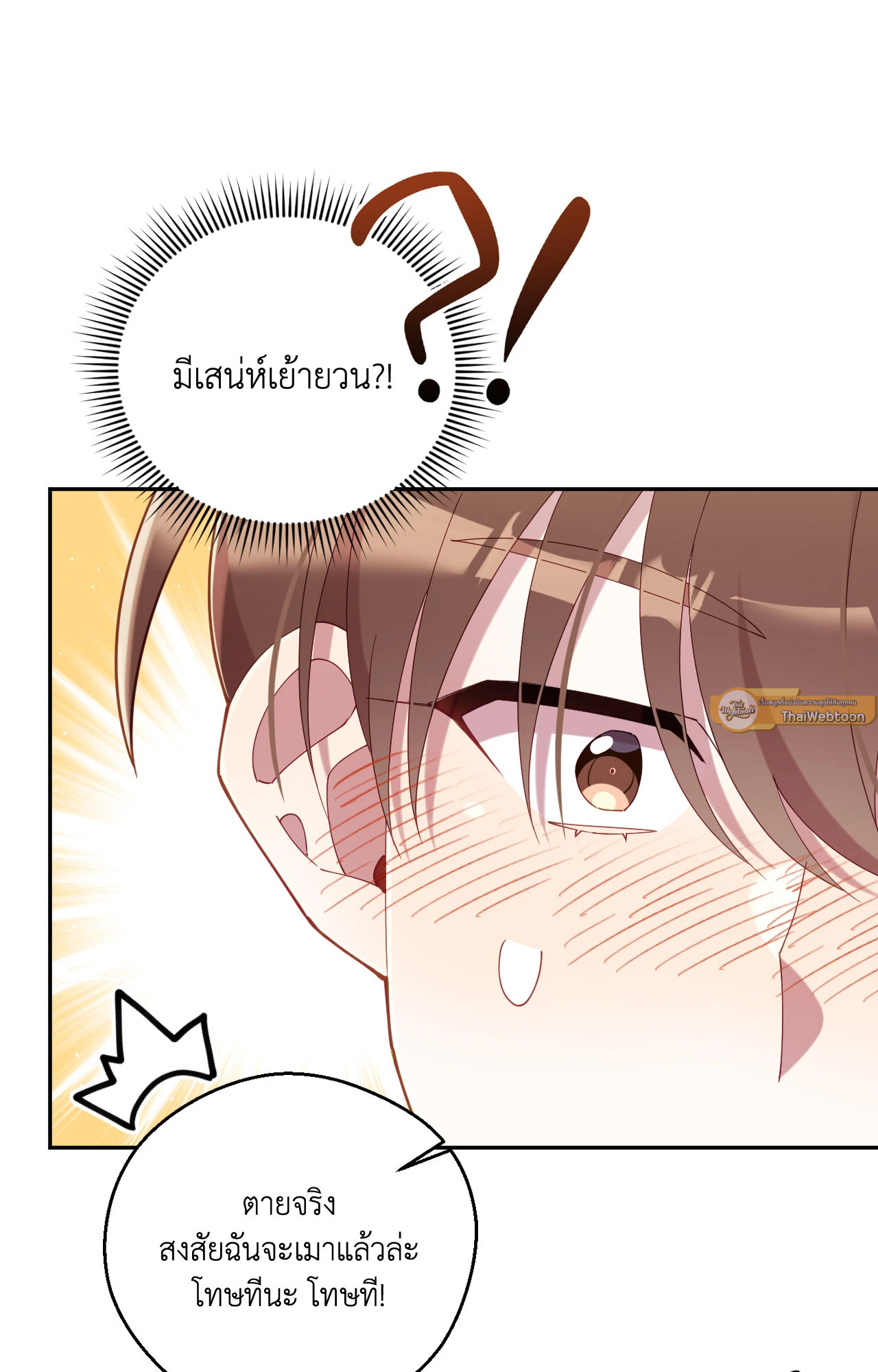 หน้า 102