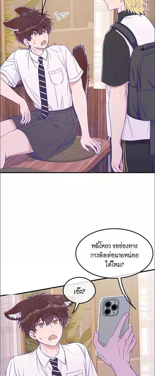 หน้า 22