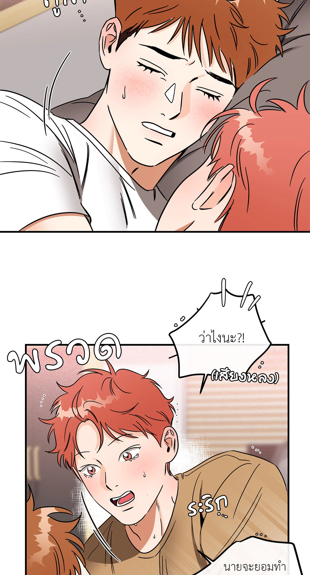 หน้า 21