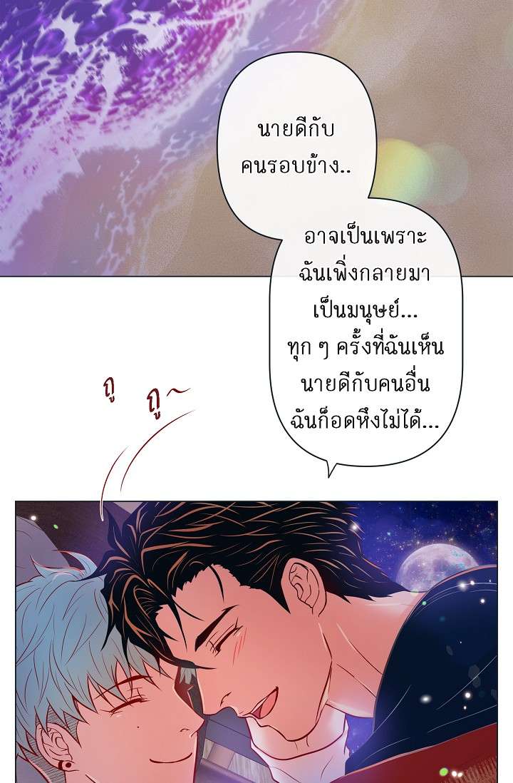 หน้า 48