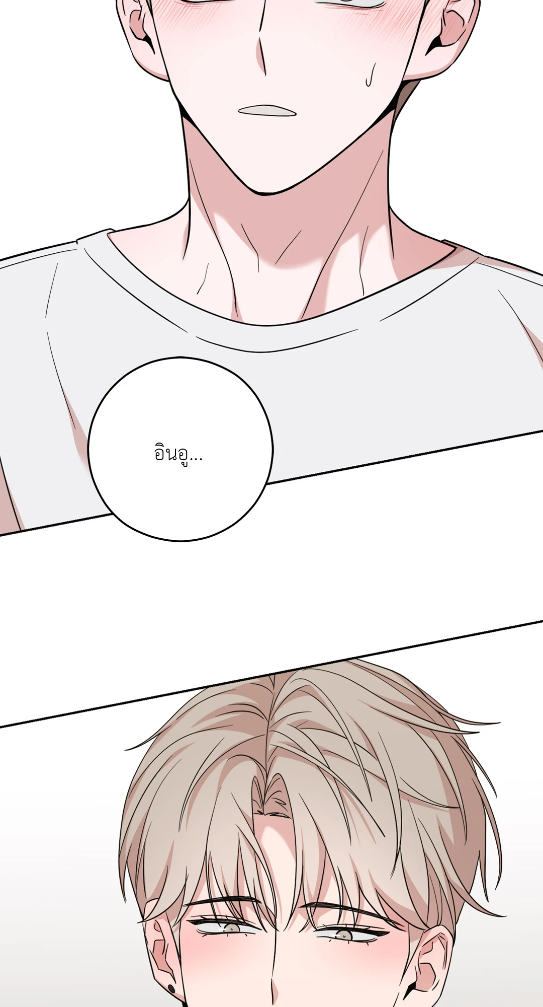 หน้า 102