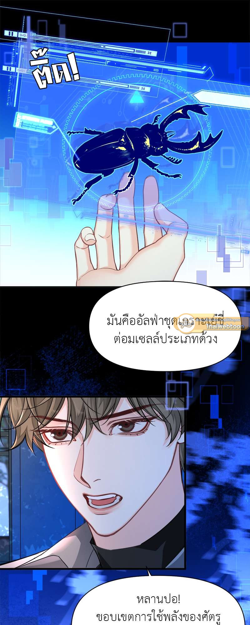 หน้า 17