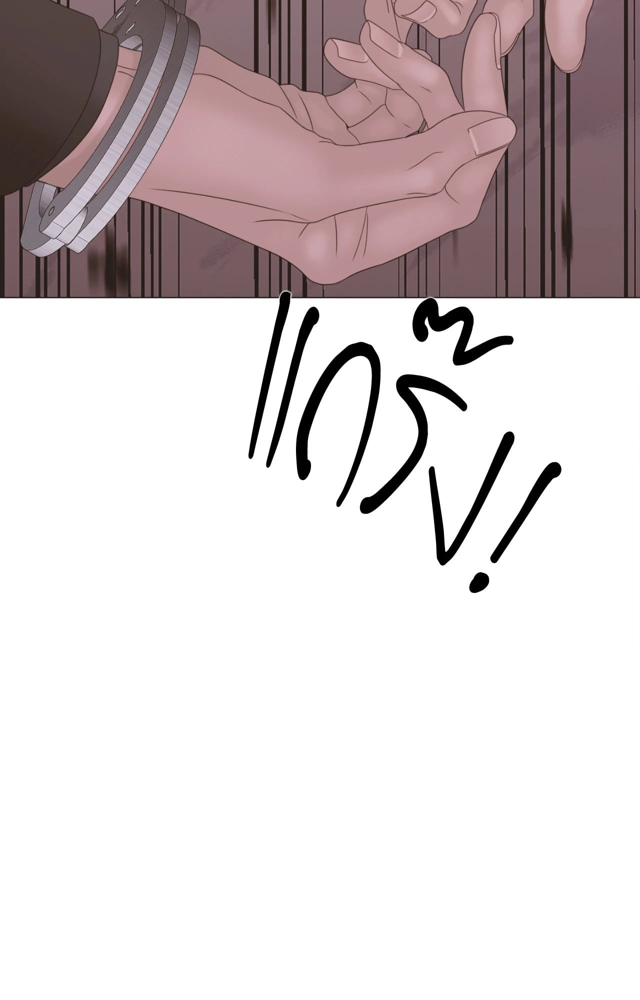 หน้า 102