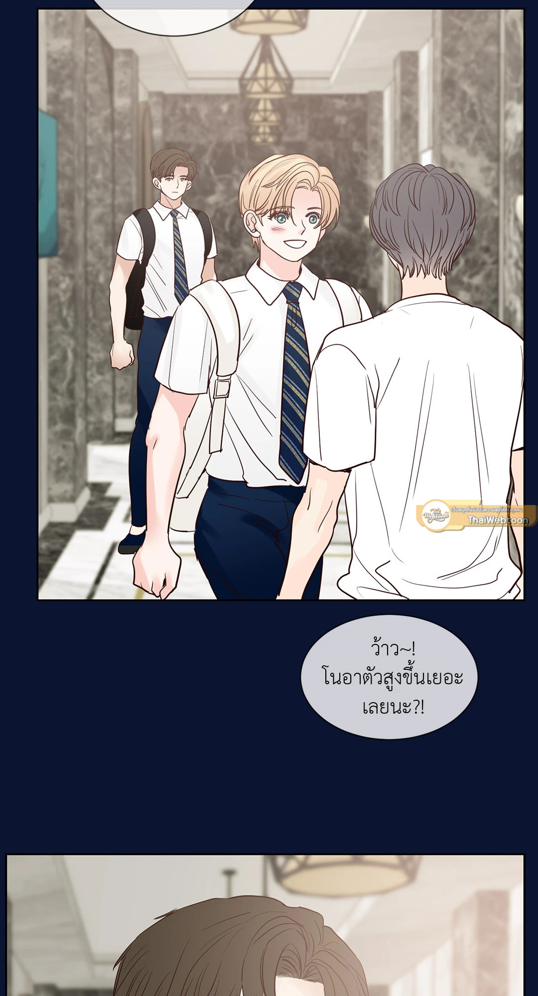 หน้า 43