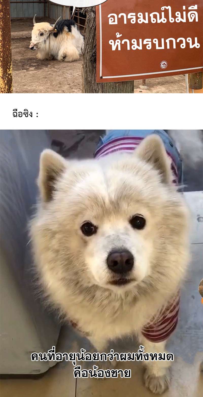 หน้า 21