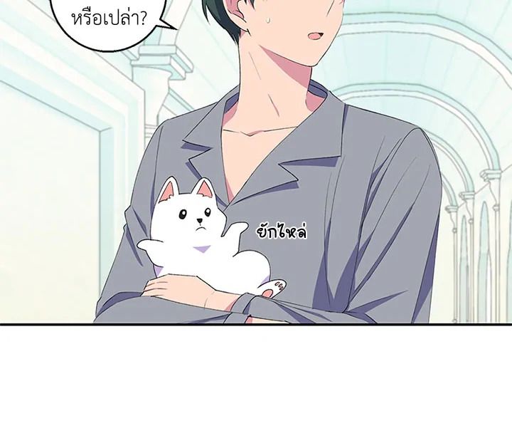 หน้า 117