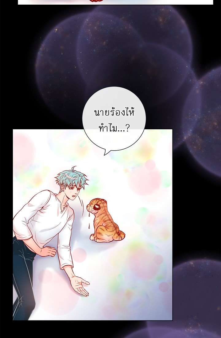 หน้า 42