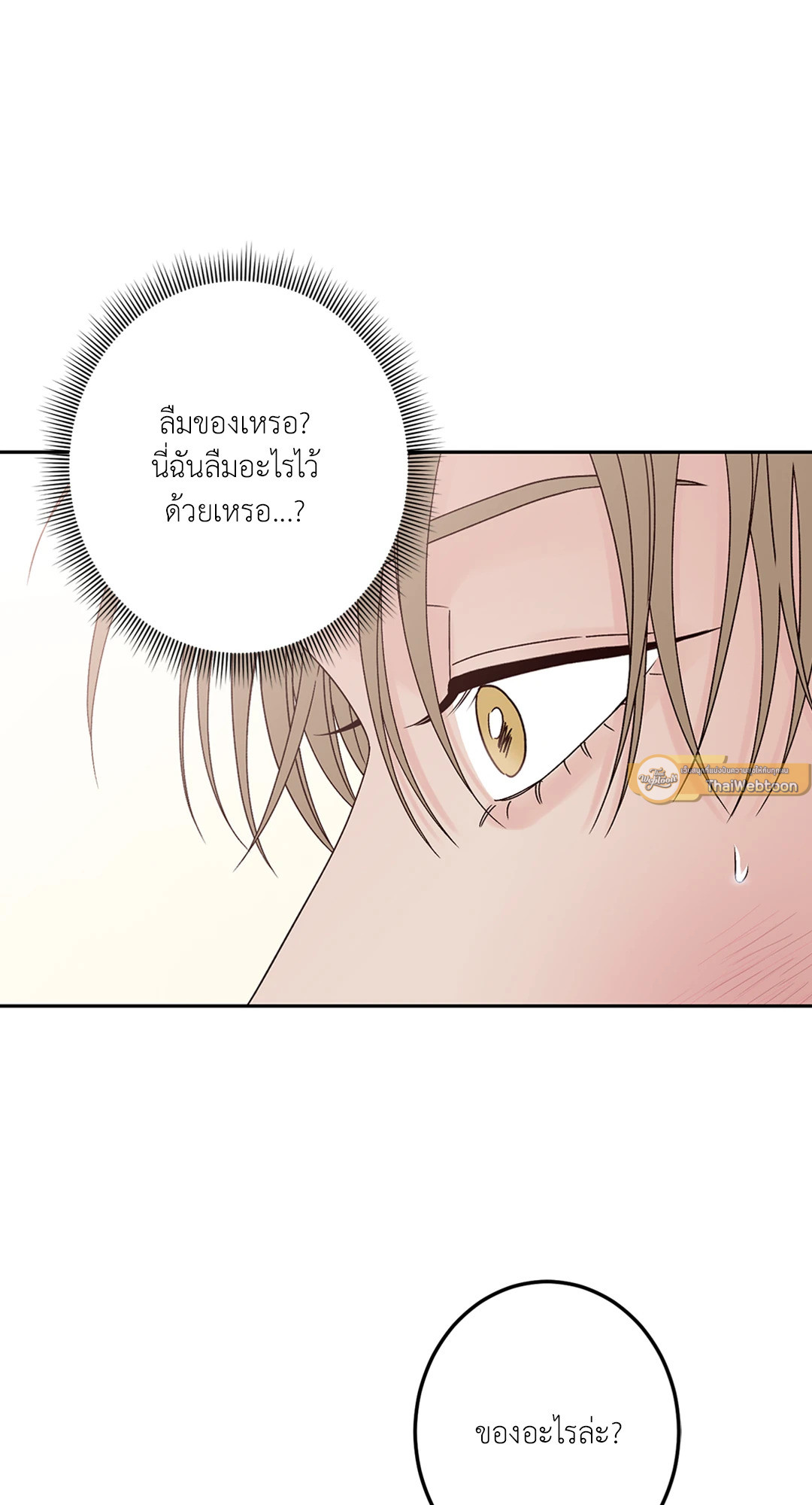 หน้า 101