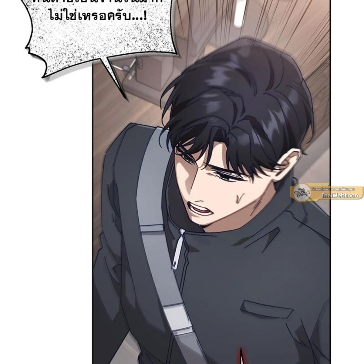 หน้า 113