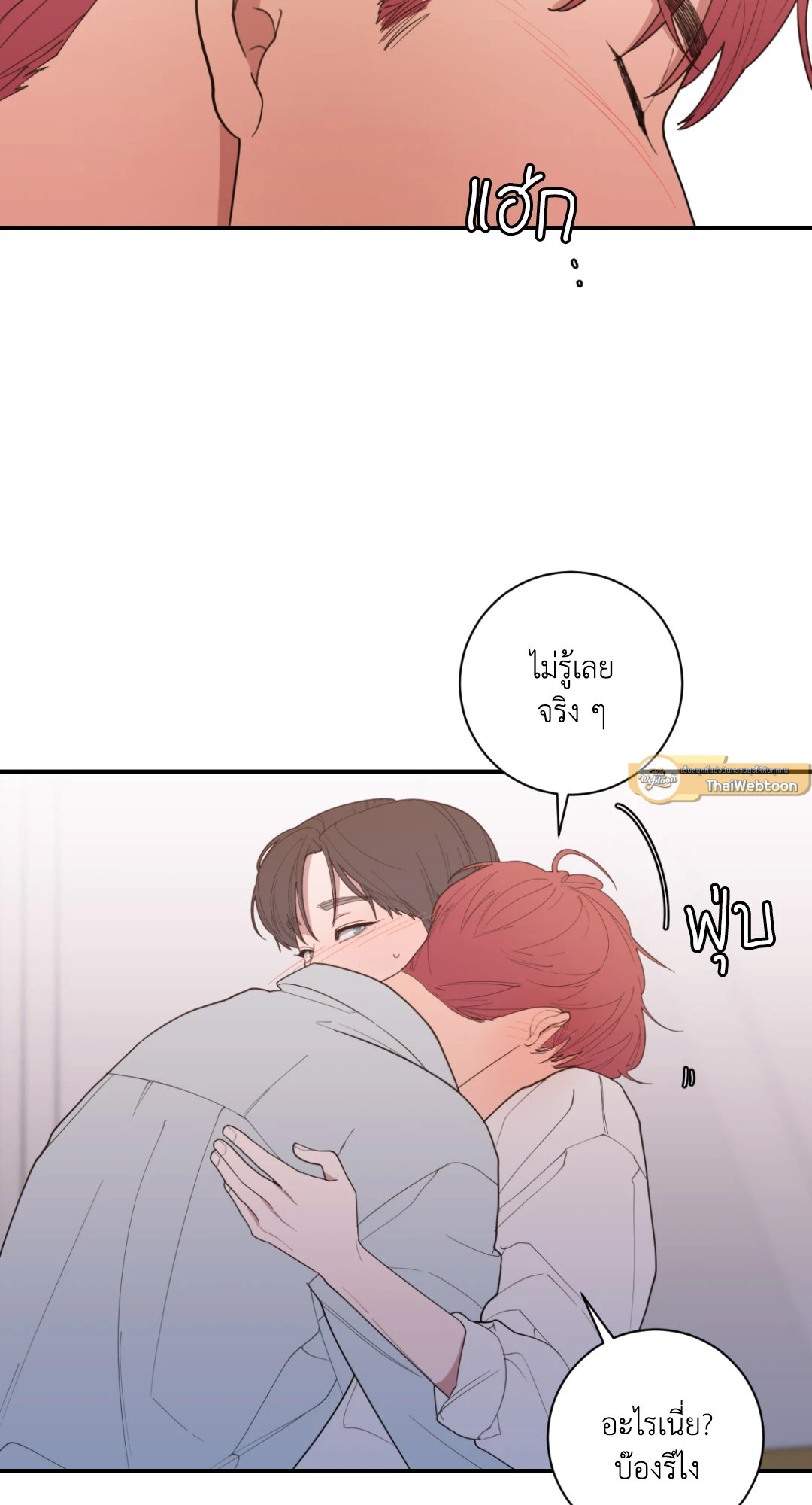 หน้า 53